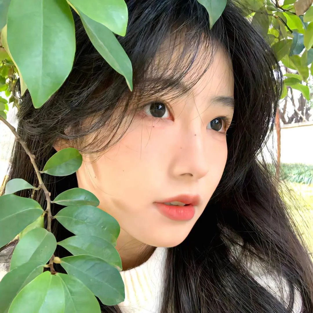 我们有人在撒谎第二季