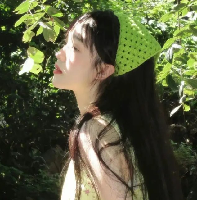 盗贼生涯